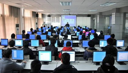 計(jì)算機(jī)科學(xué)與技術(shù)(網(wǎng)絡(luò)教育專升本科專業(yè))